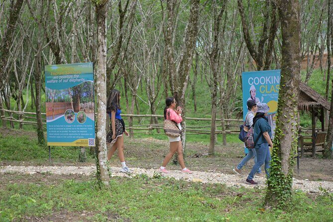 Khao Lak Eco-Safari: Elephants, Tsunami Museum, and Turtles - What to Expect from the Khao Lak Eco-Safari