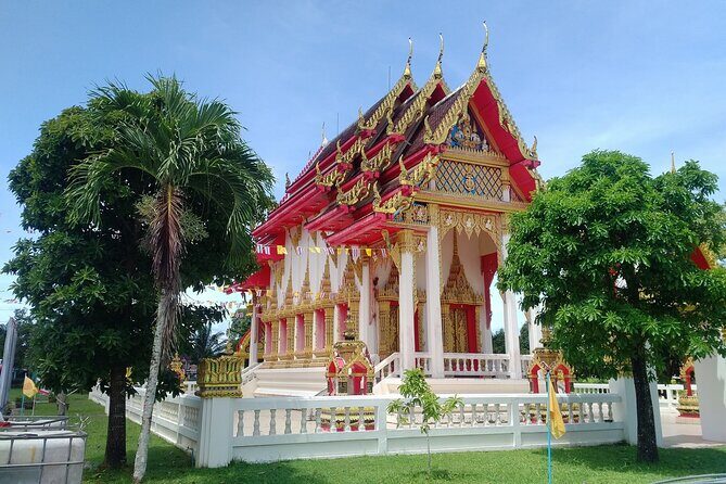 Khao Lak Eco-Safari: Elephants, Tsunami Museum, and Turtles - Final Thoughts