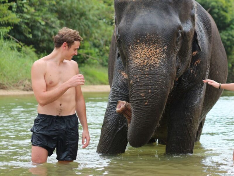 Khao Lak: Elephant Bathing and Turtle Center Visit - An Honest Look at the Experience