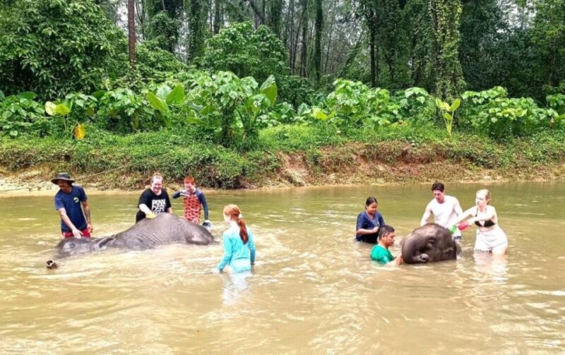 Khao Lak: Elephant Sanctuary Guided Tour - Key Points