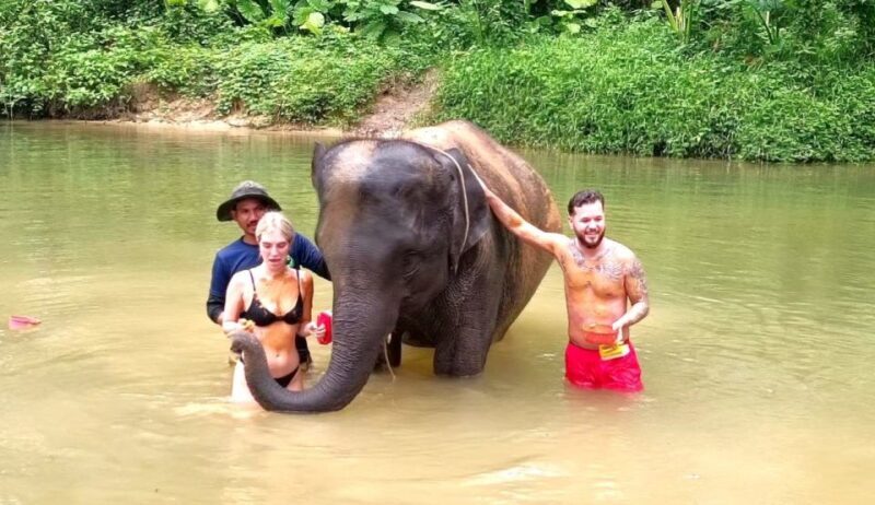 Khao Lak: Elephant Sanctuary Guided Tour - An In-Depth Look at the Khao Lak Elephant Sanctuary Guided Tour