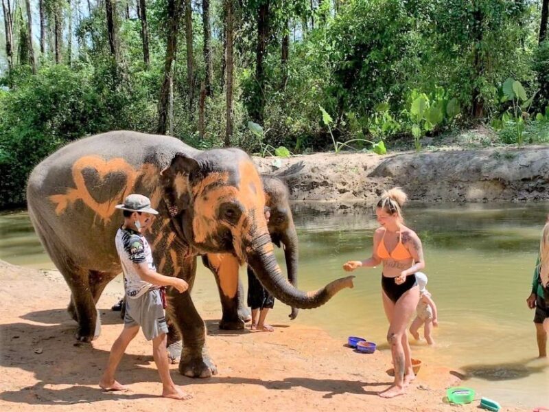 Khao Lak: Elephant Sanctuary Guided Tour - FAQ: Your Questions Answered