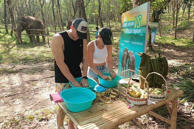 Khao Lak Elephant Sanctuary Tour with Waterfall and Lunch - Detailed Breakdown of the Itinerary