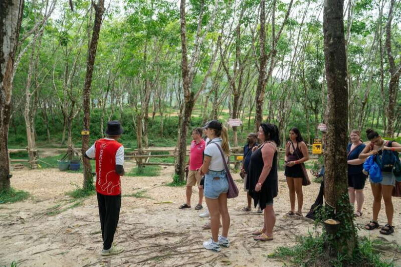 Khao Lak Guided Nature Walk & Elephant Experience - Details That Matter