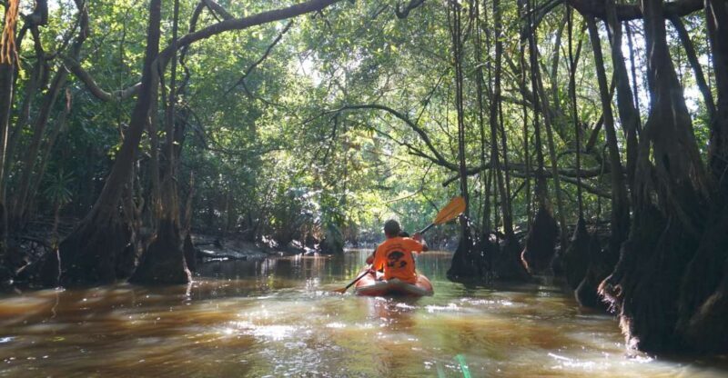 Khao Lak: Little Amazon Canoe Ride & Tam Nang Waterfall Tour - Introduction