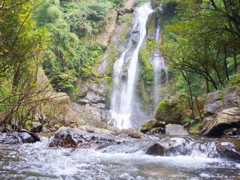 Khao Lak: Little Amazon Canoe Ride & Tam Nang Waterfall Tour - The "Little Amazon" Canoe Ride