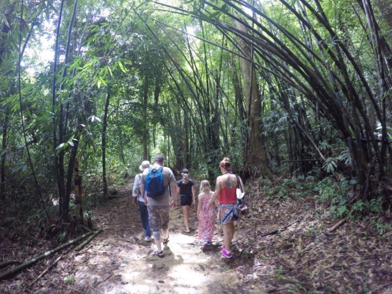 Khao Lak: Little Amazon Canoe Ride & Tam Nang Waterfall Tour - Additional Activities and Considerations