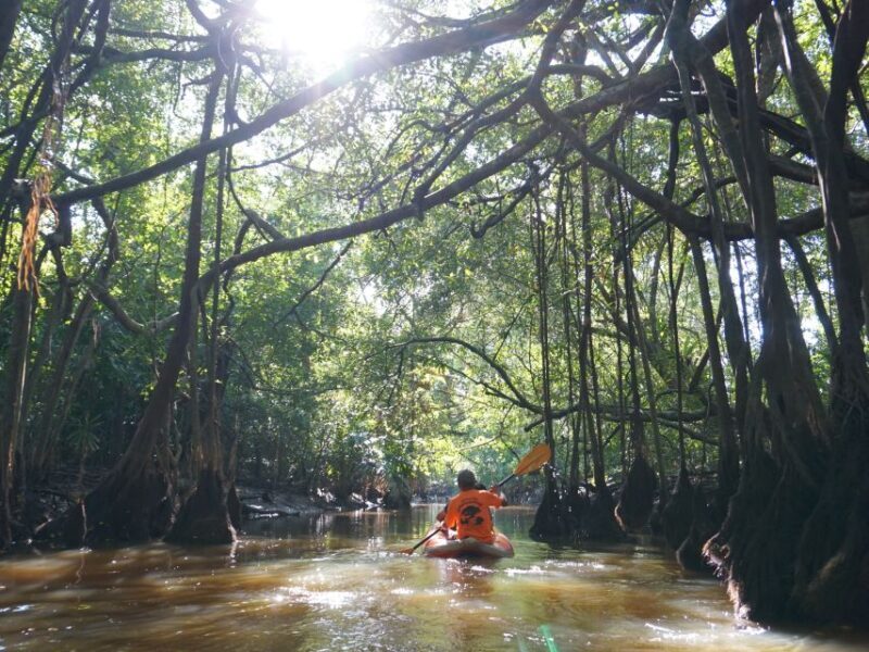 Khao Lak: Little Amazon Canoe Ride & Tam Nang Waterfall Tour - The Real Experience: What Travelers Are Saying