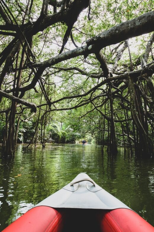 Khao Lak: Little Amazon Canoe Ride & Tam Nang Waterfall Tour - Practical Tips for Your Trip