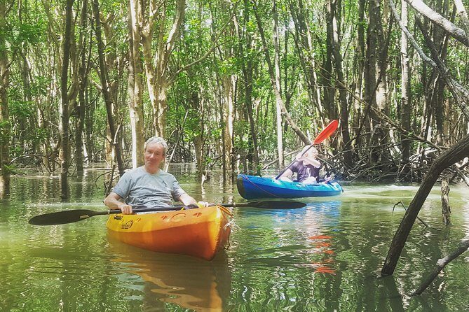 Khao Lak Mangrove Explorers - Why This Tour Represents Good Value