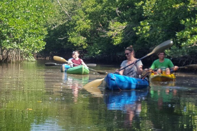 Khao Lak Mangrove Explorers - Who Should Book This Tour?