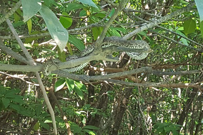 Khao Lak Mangrove Explorers - FAQ