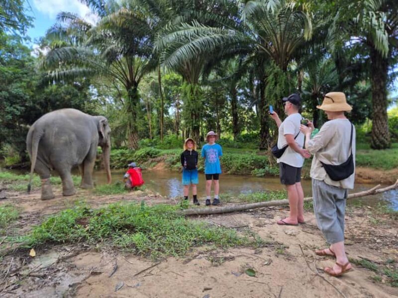 Khao Lak: Waterfall,Sea Turtle,Elephant Care,Meal & Transfer - An Honest Look at the Tour
