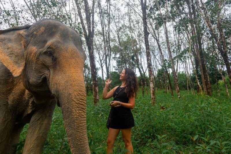 Khao Lak: Waterfall,Sea Turtle,Elephant Care,Meal & Transfer - Who Should Consider This Tour?