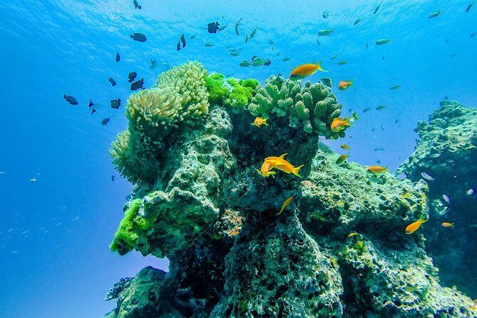 Khao Lak: Wow Andaman Snorkeling Trip to Similan Islands - FAQs