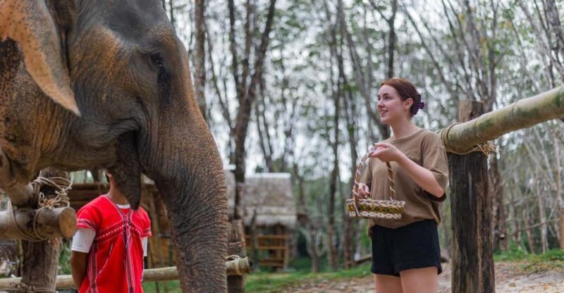 Khao Laks Best: Elephant Sanctuary,Rubber Tapping&Waterfall - Key Points