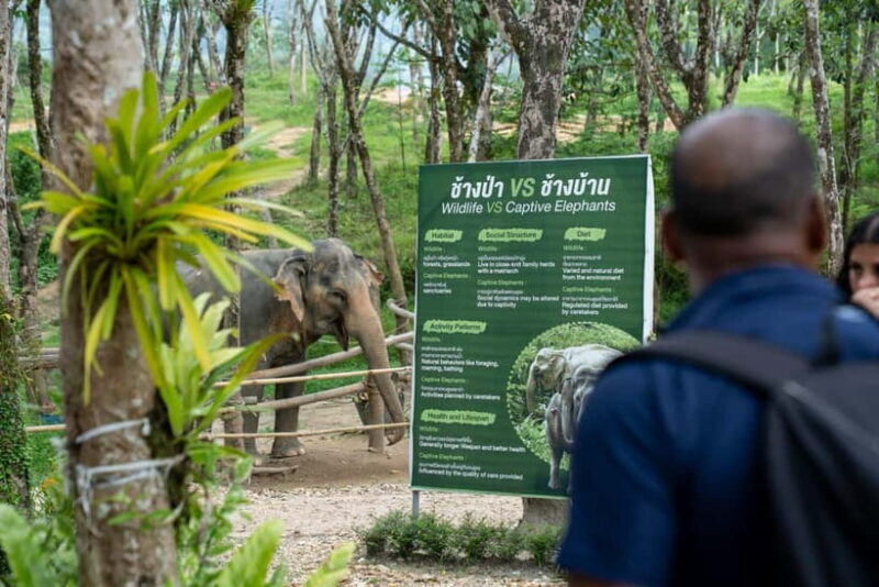 Khao Laks Best: Elephant Sanctuary,Rubber Tapping&Waterfall - Practical Tips for Travelers