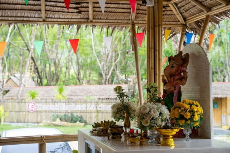Khao Laks Best: Elephant Sanctuary,Rubber Tapping&Waterfall - Authenticity and Ethical Considerations