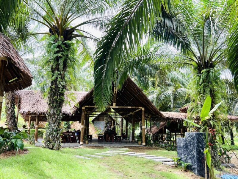Khao Sok: Ethical Elephant Sanctuary Visit - An Honest Look at an Ethical Elephant Experience in Khao Sok