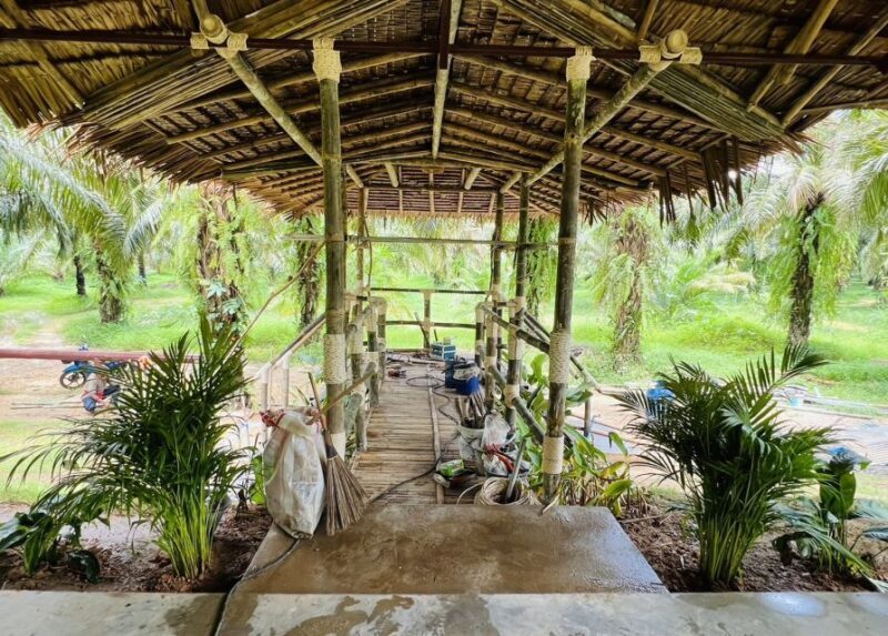 Khao Sok: Ethical Elephant Sanctuary Visit - Analyzing the Value: Is It Worth It?