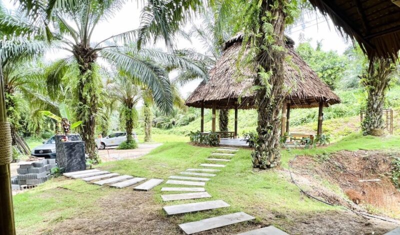 Khao Sok: Ethical Elephant Sanctuary Visit - Who Will Love This Tour?