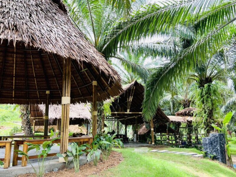 Khao Sok: Ethical Elephant Sanctuary Visit - The Sum Up: A Worthwhile, Respectful Encounter