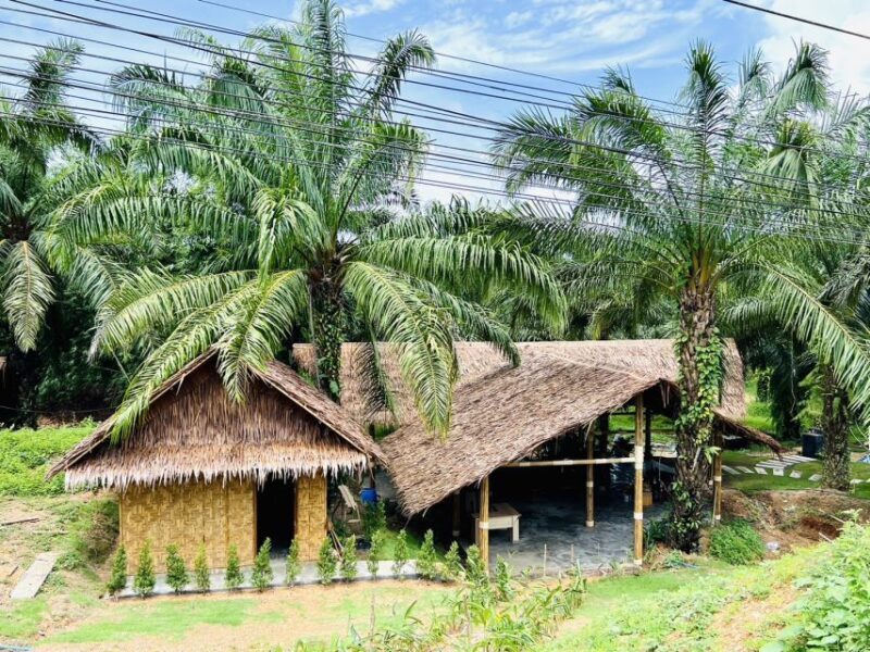 Khao Sok: Ethical Elephant Sanctuary Visit - FAQ