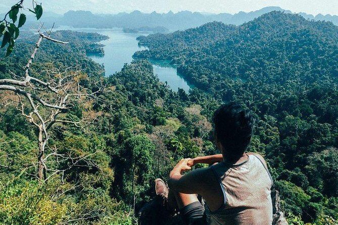 Khao Sok National Park Jungle Safari Full Day Tour from Phuket - Introduction: What Makes This Tour Stand Out?