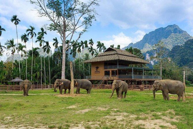 Khao Sok National Park Jungle Safari Full Day Tour from Phuket - What It Means for You