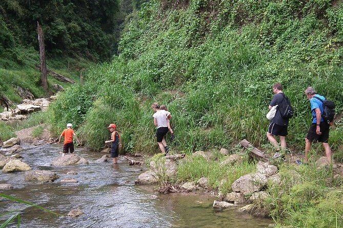 Khao Sok National Park Jungle Safari Full Day Tour from Phuket - The Sum Up: Is This Tour Worth It?