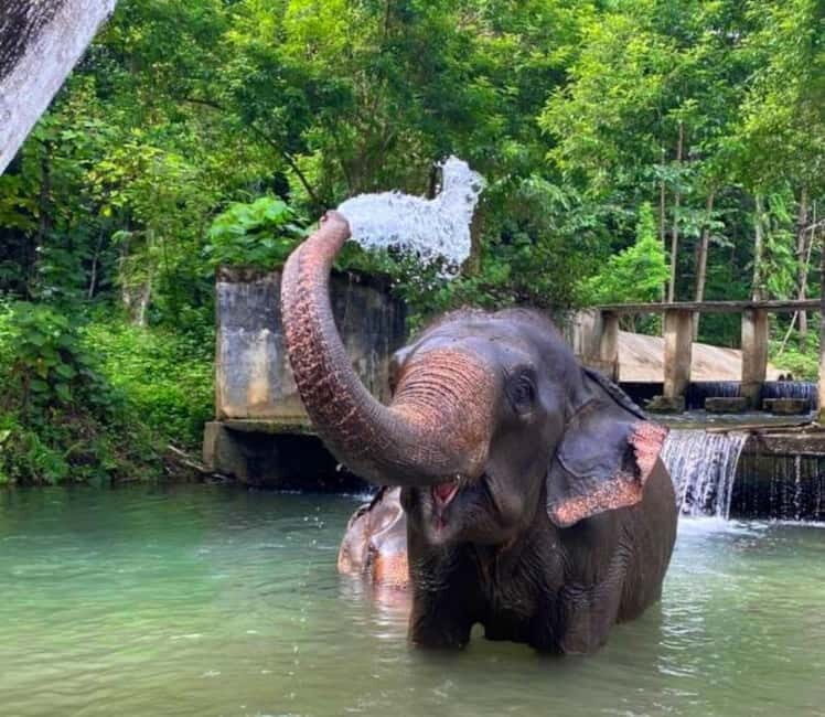 Khao Sok: Private Ethical Elephant Sanctuary Adventure - Practical Details