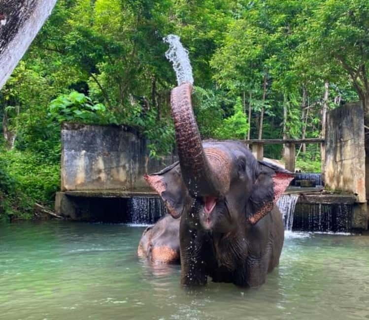 Khao Sok: Private Ethical Elephant Sanctuary Adventure - FAQs