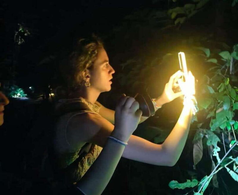 Khao Sok: Private Night Safari Adventure w/ Hotel Transfer - The Itinerary: What to Expect on Your Night Safari