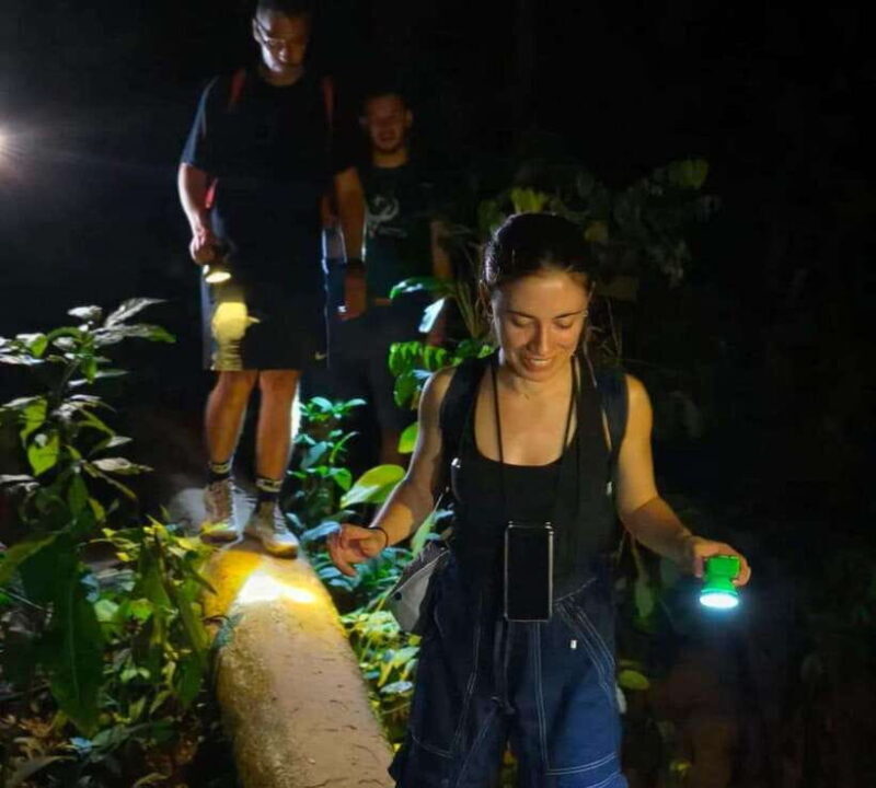 Khao Sok: Private Night Safari Adventure w/ Hotel Transfer - Who Should Consider This Tour?