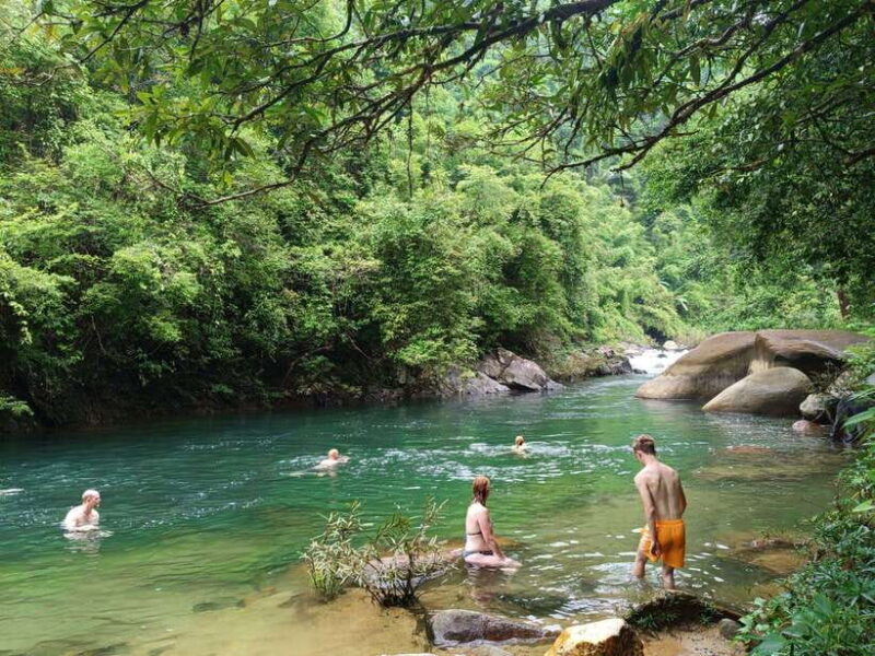 Khao Sok: Private Waterfalls and Wildlife Half-Day Trek - An In-Depth Look at the Khao Sok Half-Day Trek