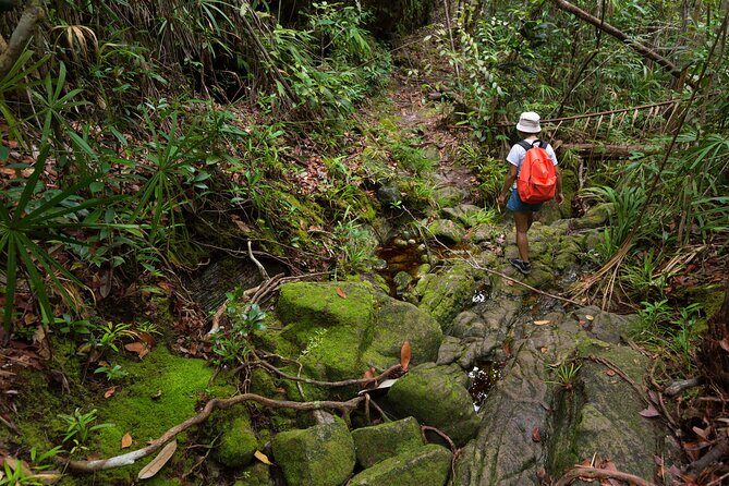 Khao Sok Rainforest | Hiking & Bamboo Rafting - FAQs