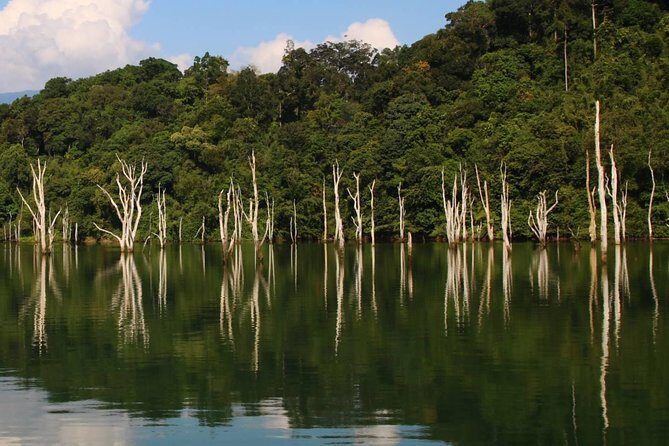 Khao Sok Wildlife 2 Days - Who Will Love This Tour?