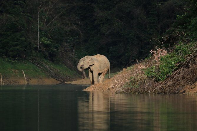 Khao Sok Wildlife 2 Days - Final Thoughts