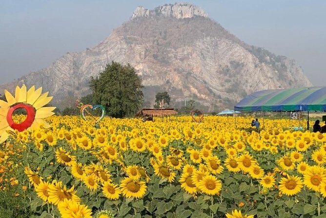 Khao Yai national Park day tour from Bangkok - FAQ