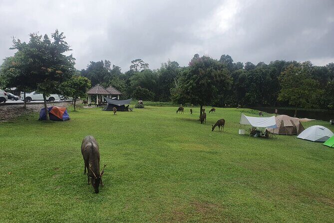 Khao Yai National Park Full Day - Who Will Love This Tour?