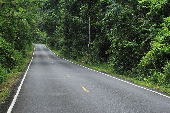 Khao Yai National Park Full-Day Tour From Bangkok - Frequently Asked Questions