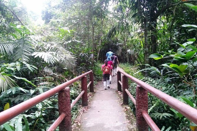 Khao Yai National Park Hiking Day Tour: Haew Narok and Haew Suwat - FAQ