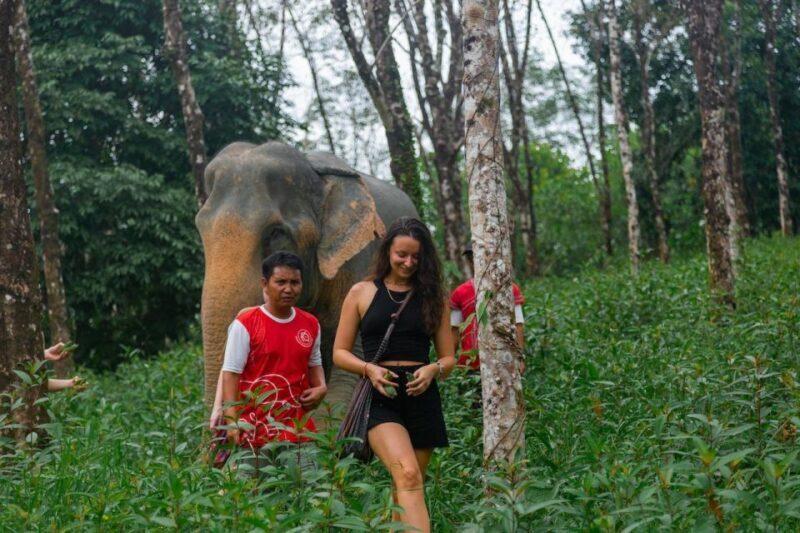 Khaolak: Begin the Day with Elephants - Walk and Feed Tour - An In-Depth Look at the Tour Experience