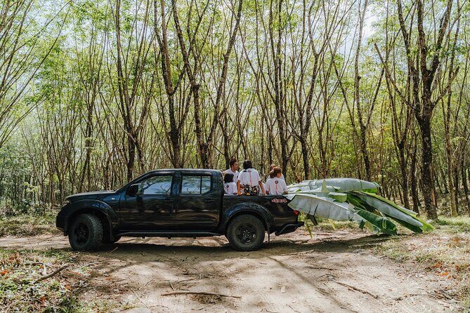 Khaolak Elephant Sanctuary, Cooking Class and Waterfall Tour - Final Thoughts