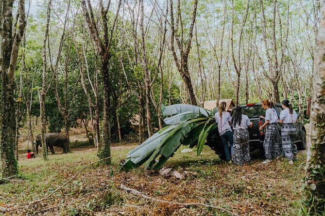Khaolak Elephant Sanctuary, Cooking Class and Waterfall Tour - FAQ
