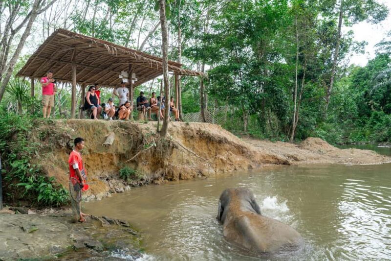Khaolak: Elephant Sanctuary Guided Tour with Hotel Transfers - Key Points