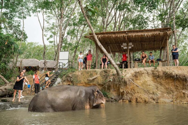 Khaolak: Elephant Sanctuary Guided Tour with Hotel Transfers - What Travelers Say