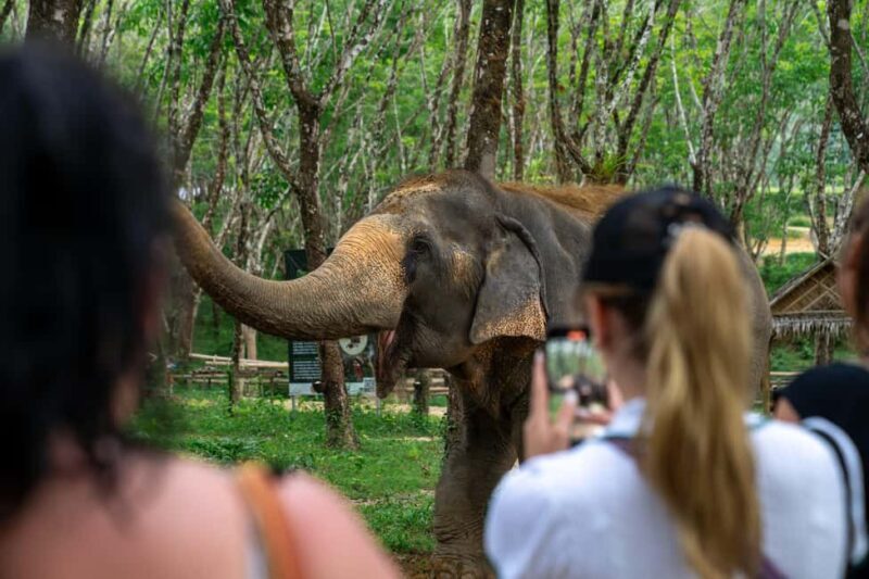 Khaolak: Elephant Sanctuary Guided Tour with Hotel Transfers - Practical Details and Tips