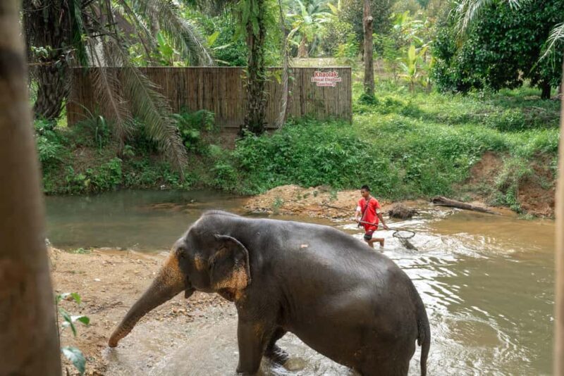 Khaolak: Elephant Sanctuary Guided Tour with Hotel Transfers - FAQs