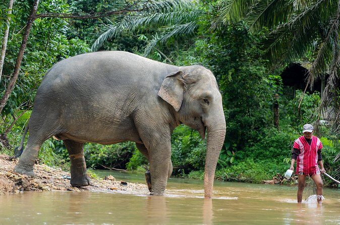 Khaolak Elephant Sanctuary Visit & River Tubing Tour - Practical Tips for Your Day
